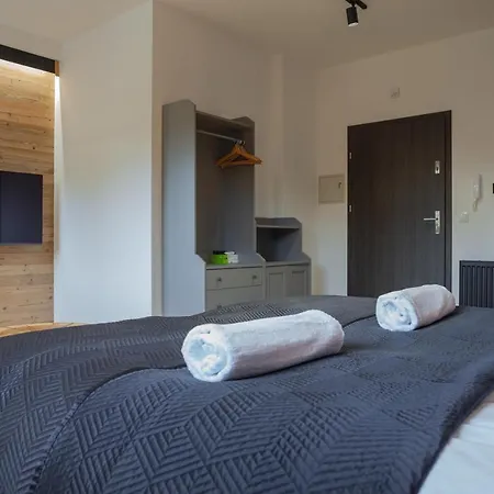 Apartament City Center Modern Loft 2 - Bezplatny Parking Krynica Zdroj Exterior photo